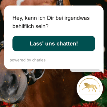 WhatsApp support, Pferdegold