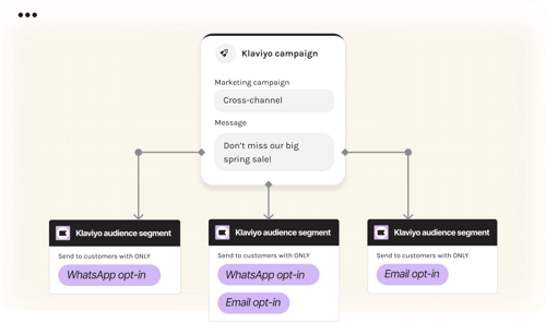 Klaviyo audience segmentation