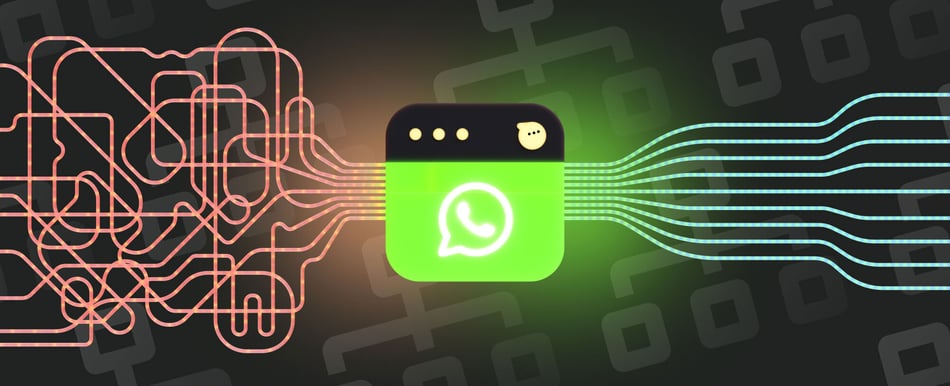 WhatsApp automation for business blog