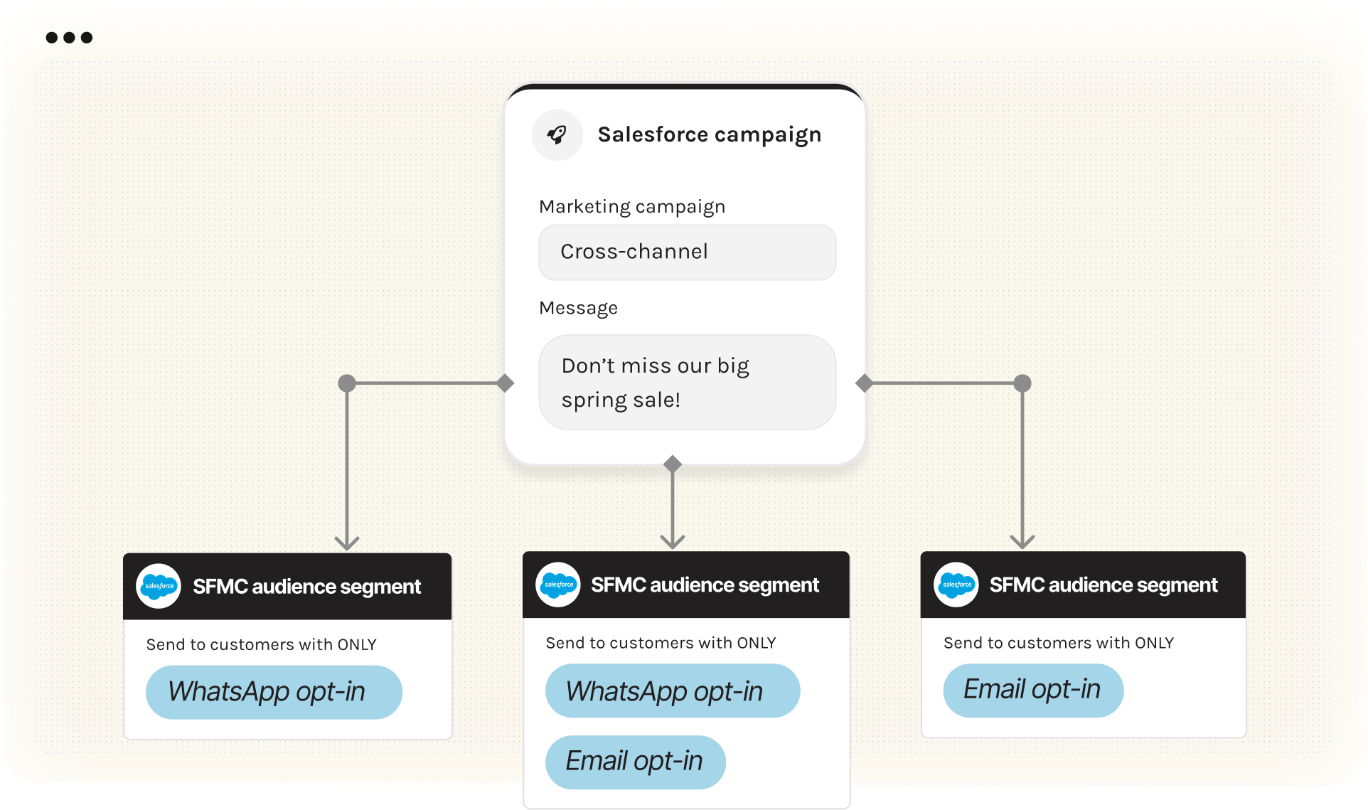Salesforce audience segmentation