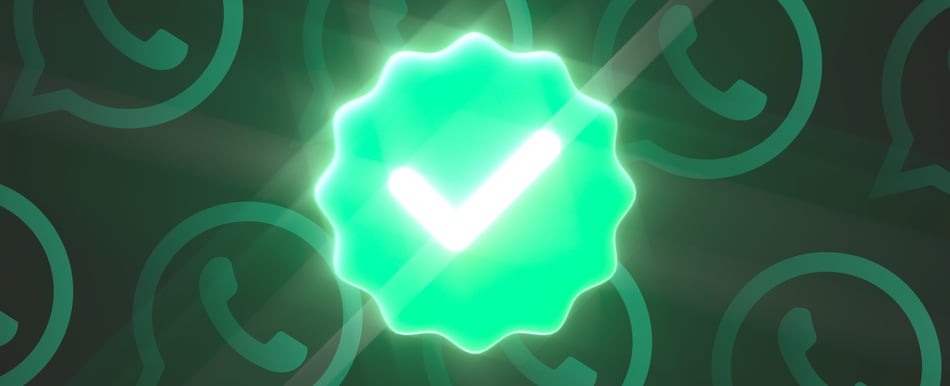 WhatsApp green tick verification for D2C eCommerce brands: the ultimate guide blog