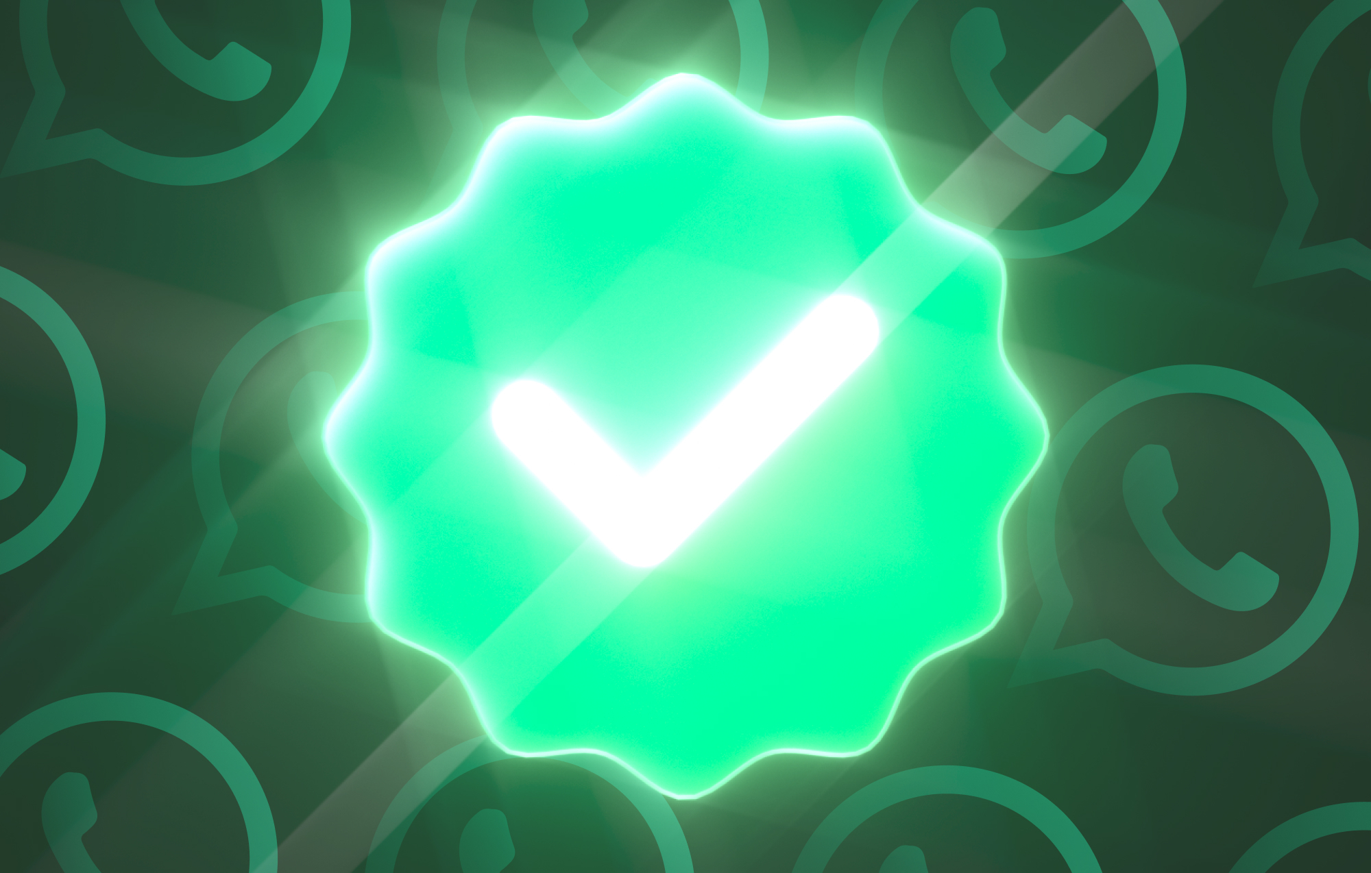 WhatsApp green tick verification with charles